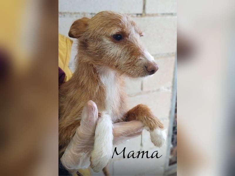 Bianca, kleines Mädchen sucht ihr Glück