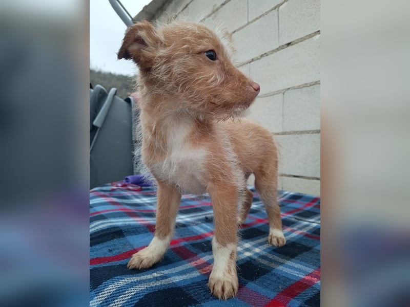 Carlos, bringt gute Laune ins neue Heim