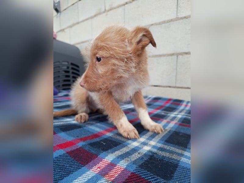 Carlos, bringt gute Laune ins neue Heim