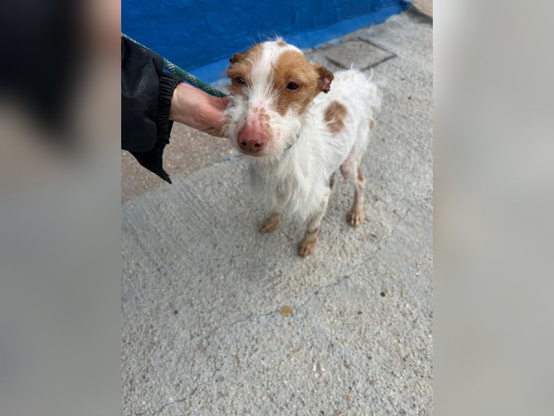 Black, hatte keine schöne Vergangenheit