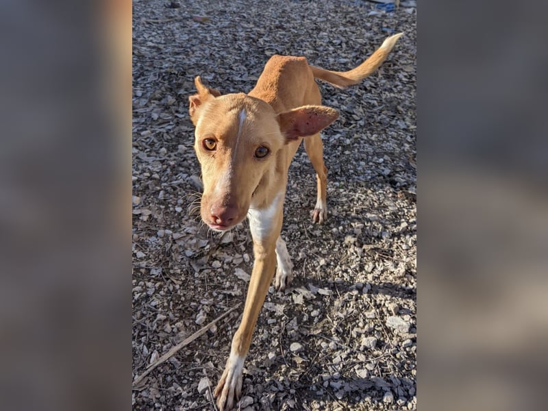 April, vorsichtig und noch schüchtern