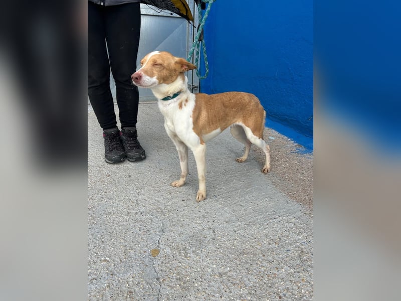 Nayra, freundlich und menschenbezogen