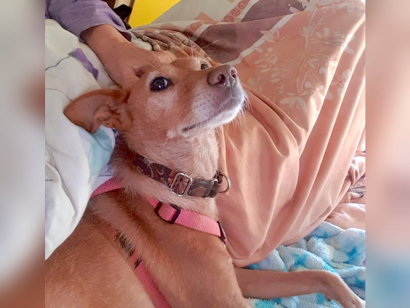 CHISPA – warmherzige Sonnenseele