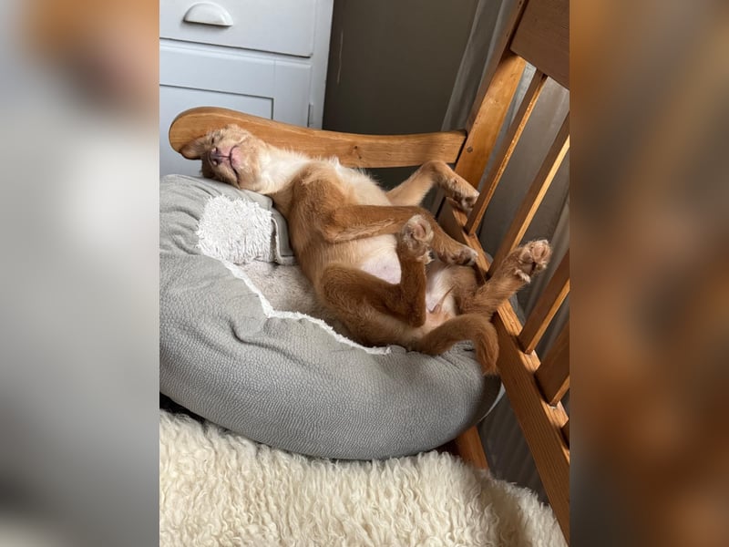 Ada, klein wild frech und wunderbar