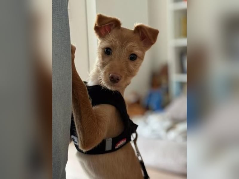 Ada, auf Familiensuche