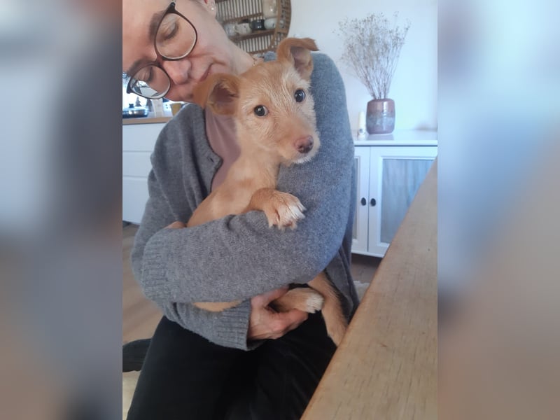 Ada, klein wild frech und wunderbar