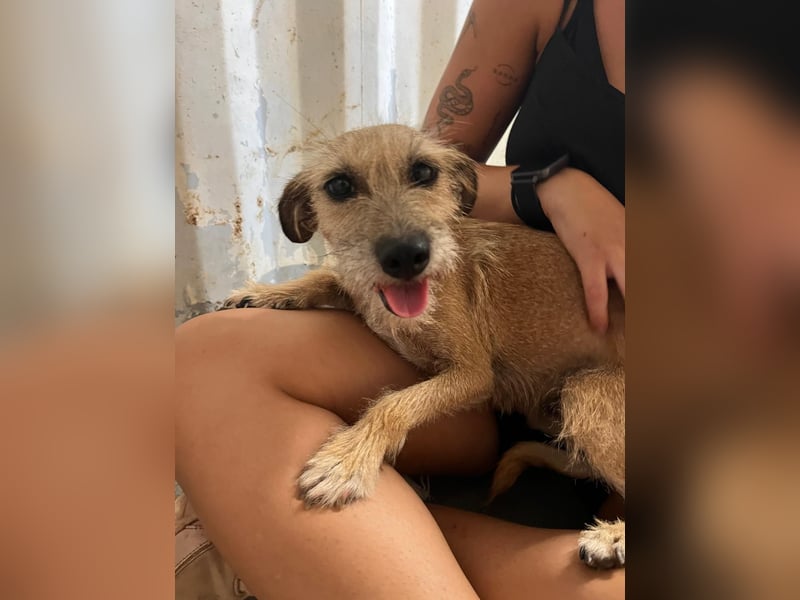 Kleine Tina sucht ihr großes Glück ❤️
