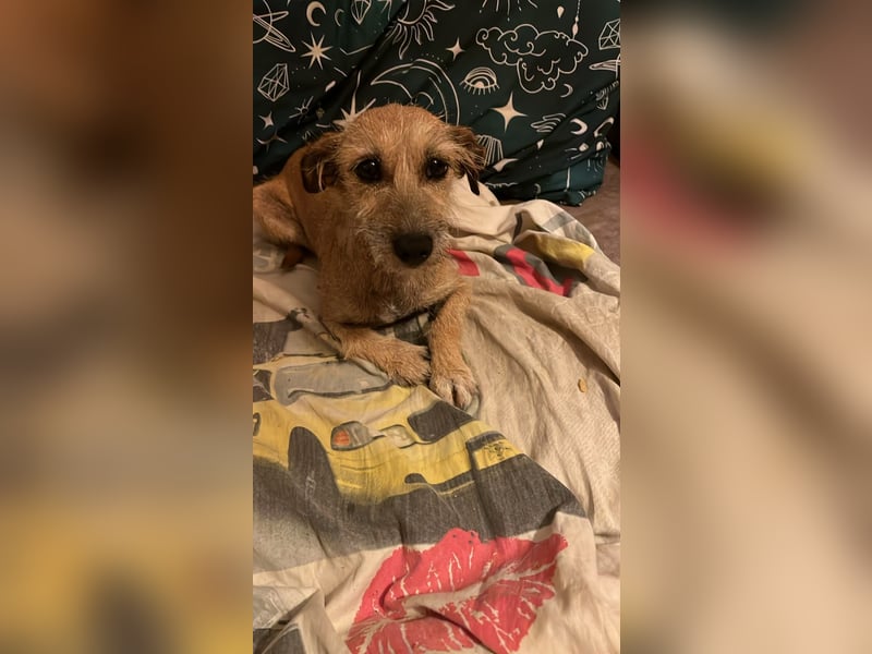 Kleine Tina sucht ihr großes Glück ❤️