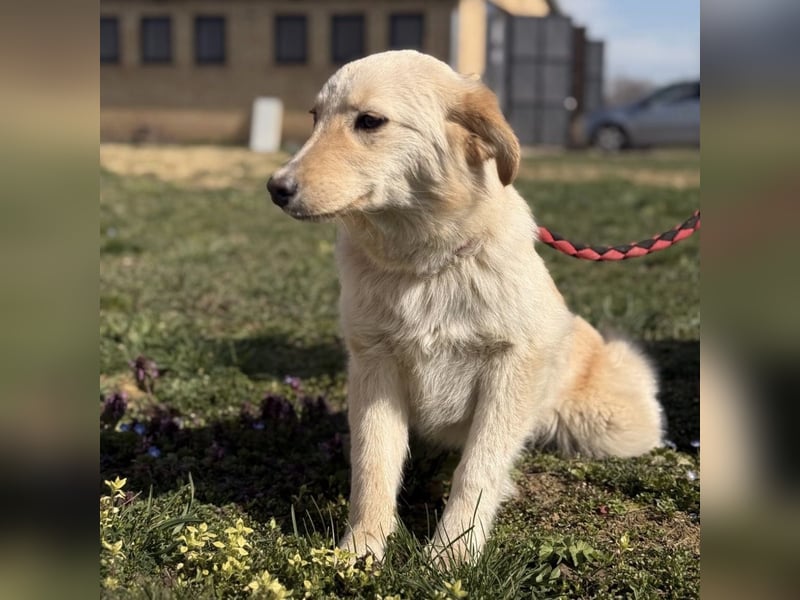 Tessa ein zartes Wesen