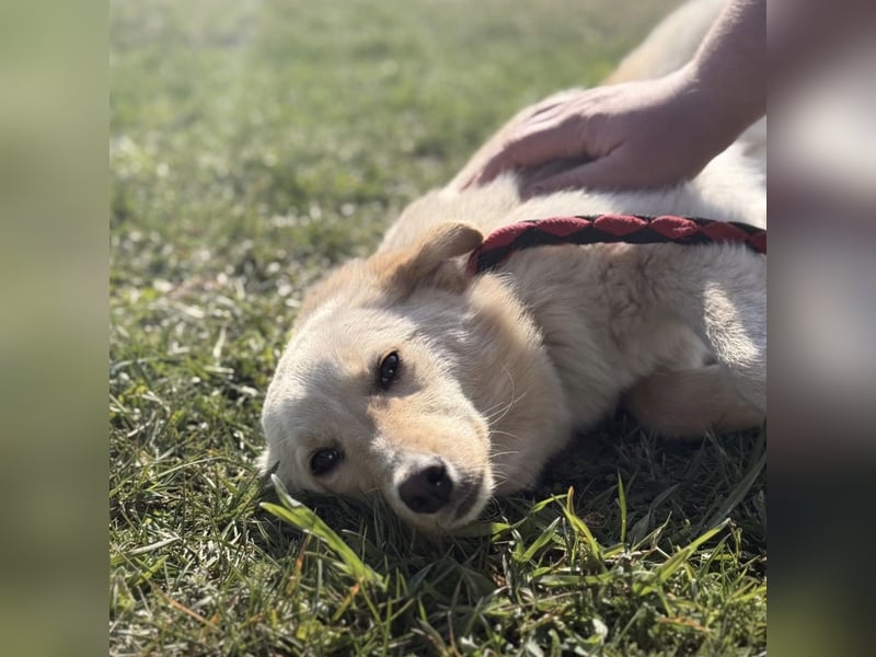 Tessa ein zartes Wesen