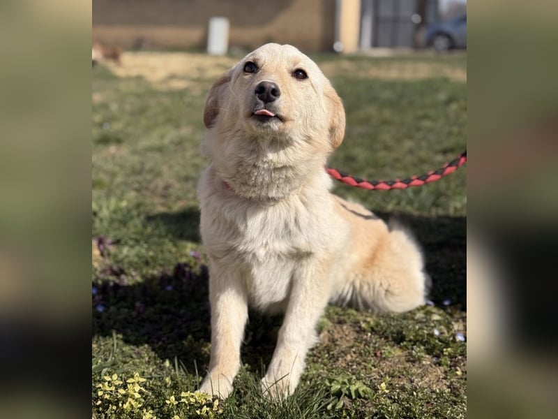 Tessa ein zartes Wesen