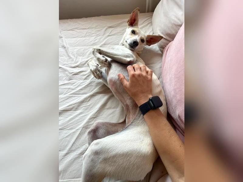YUKI – Kleine Seele, großes Herz