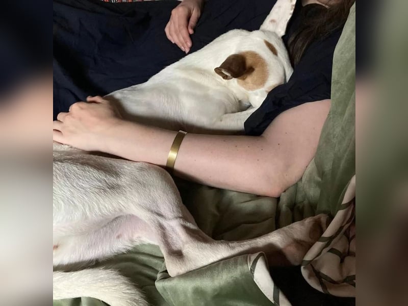 Babsi, menschenbezogen und sehr sozial
