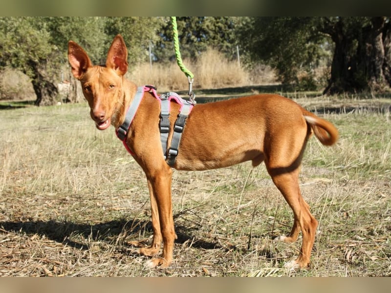 IKER - voller Energie und Lebensfreude