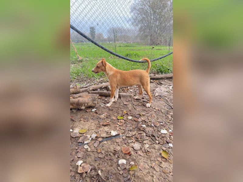 ROBE-gute-Laune-Paket wünscht sich sehnlichst ein liebevolles Zuhause!