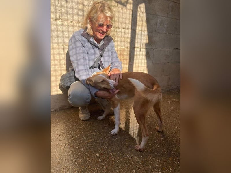 MARTINA-kleine Prinzessin mit sonnigem Herzen sucht ihre Für-immer-Familie