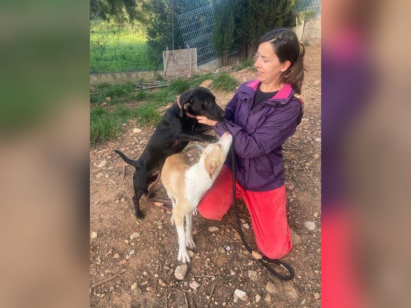 TAPI-wundervoller, junger Bub mit einem großen Herzen sucht seine liebevolle Für-immer-Familie