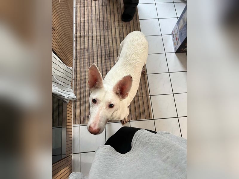 Susona – wartet in 47918 Tönisvorst auf dich