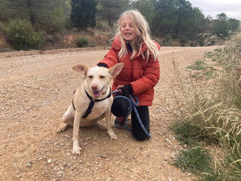 GARBI-zarte Seele möchte endlich in einem liebevollen Für-immer-Zuhause ankommen