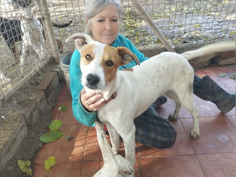 KIKO-kleiner Sonnenschein mit großem Herzen sucht Für-immer-Zuhause