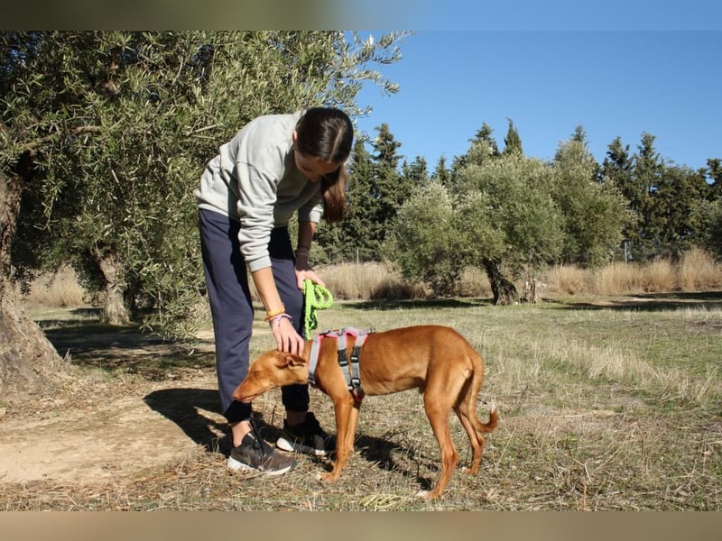 IKER - voller Energie und Lebensfreude