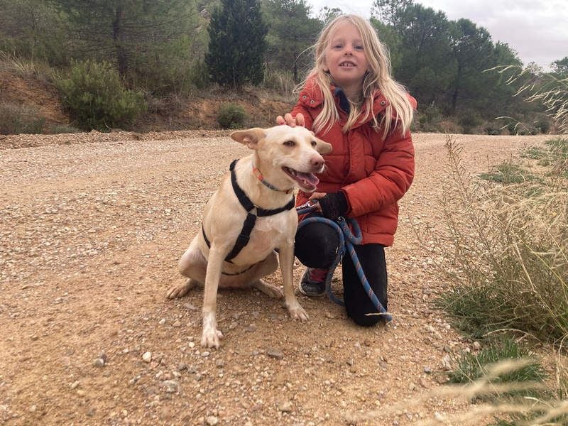 GARBI-zarte Seele möchte endlich in einem liebevollen Für-immer-Zuhause ankommen