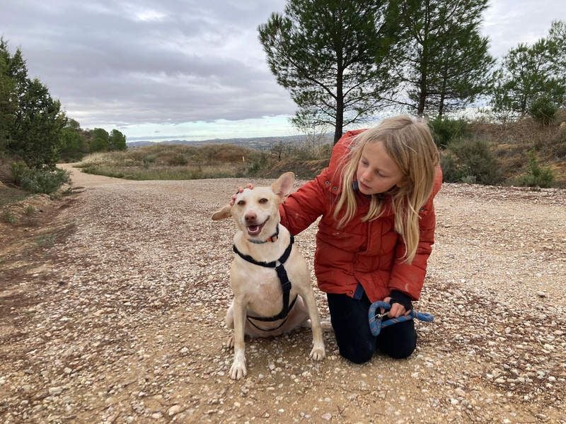 GARBI-zarte Seele möchte endlich in einem liebevollen Für-immer-Zuhause ankommen