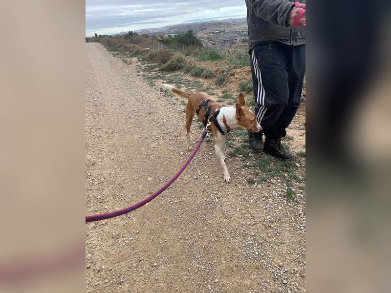 MARTINA-kleine Prinzessin mit sonnigem Herzen sucht ihre Für-immer-Familie