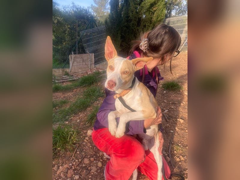 TAPI-wundervoller, junger Bub mit einem großen Herzen sucht seine liebevolle Für-immer-Familie