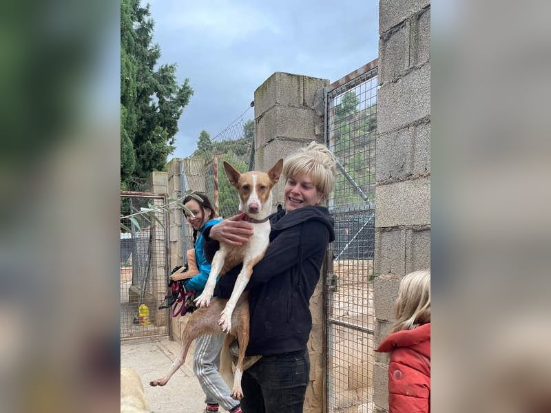 MARTINA-kleine Prinzessin mit sonnigem Herzen sucht ihre Für-immer-Familie