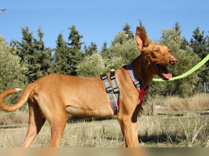 IKER - voller Energie und Lebensfreude
