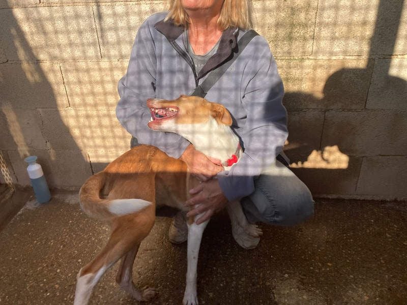 MARTINA-kleine Prinzessin mit sonnigem Herzen sucht ihre Für-immer-Familie