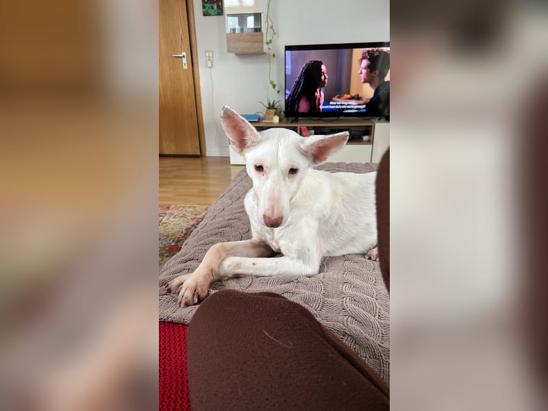 Susona – wartet in 47918 Tönisvorst auf dich