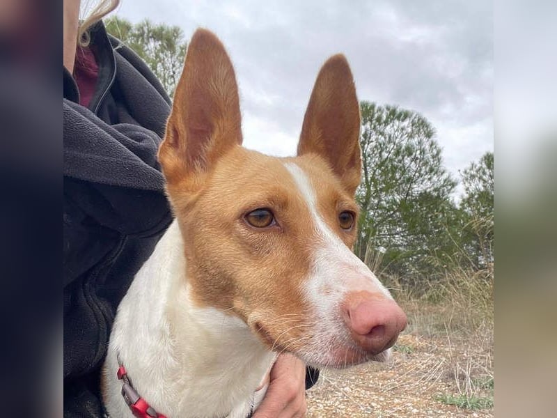 MARTINA-kleine Prinzessin mit sonnigem Herzen sucht ihre Für-immer-Familie