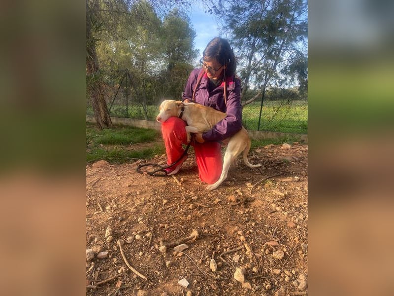 TAPI-wundervoller, junger Bub mit einem großen Herzen sucht seine liebevolle Für-immer-Familie