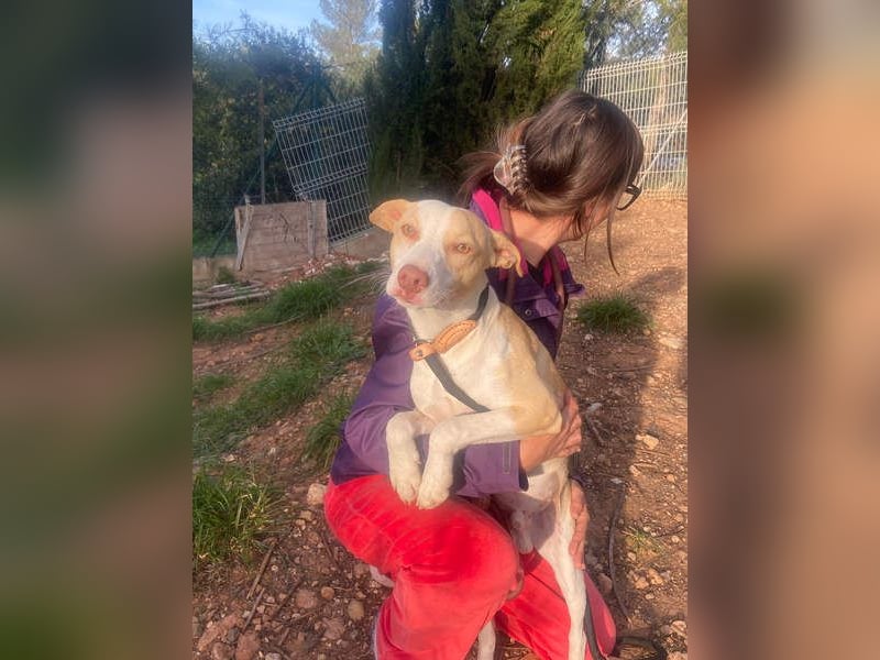 TAPI-wundervoller, junger Bub mit einem großen Herzen sucht seine liebevolle Für-immer-Familie