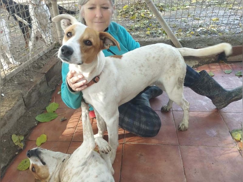 KIKO-kleiner Sonnenschein mit großem Herzen sucht Für-immer-Zuhause