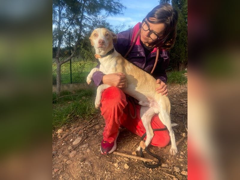 TAPI-wundervoller, junger Bub mit einem großen Herzen sucht seine liebevolle Für-immer-Familie