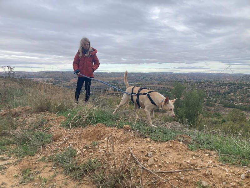 GARBI-zarte Seele möchte endlich in einem liebevollen Für-immer-Zuhause ankommen