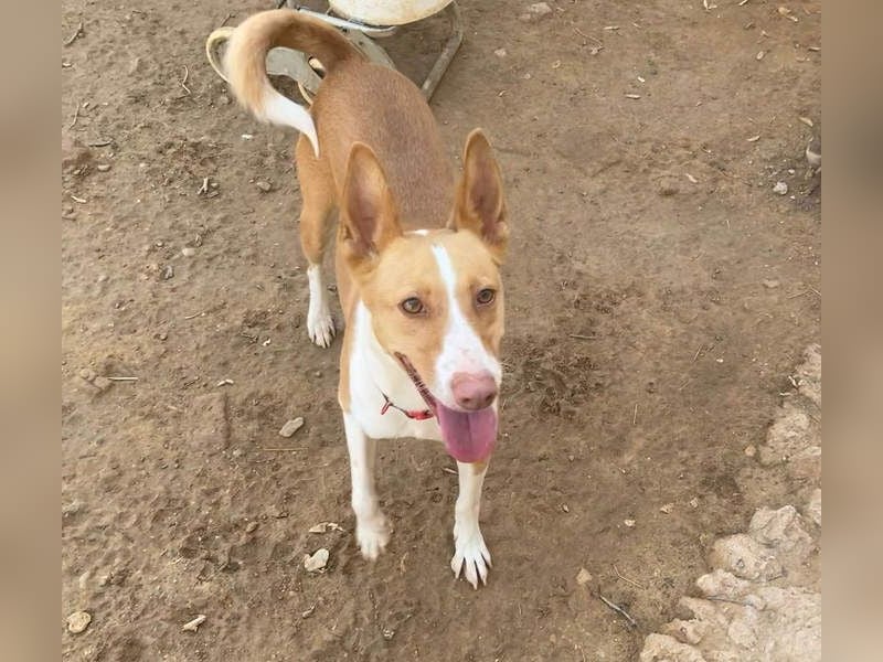 MARTINA-kleine Prinzessin mit sonnigem Herzen sucht ihre Für-immer-Familie