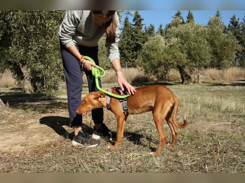 IKER - voller Energie und Lebensfreude