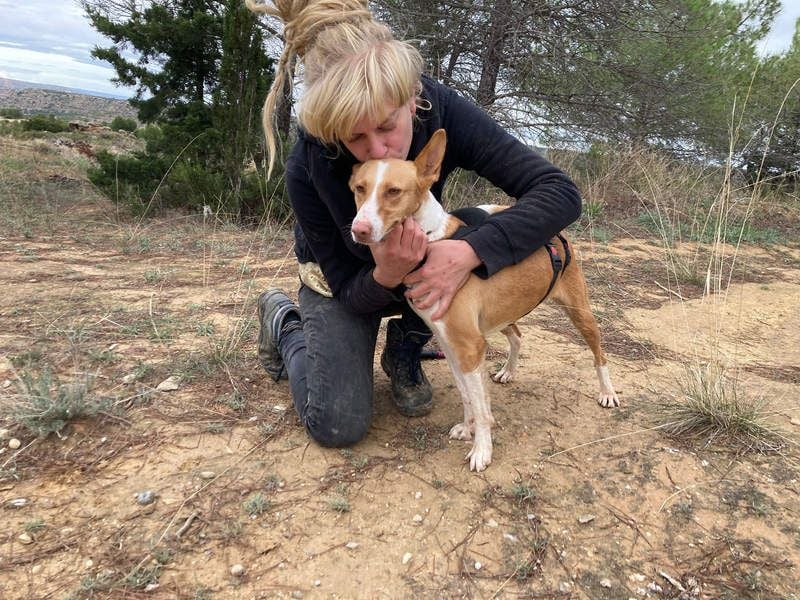 MARTINA-kleine Prinzessin mit sonnigem Herzen sucht ihre Für-immer-Familie