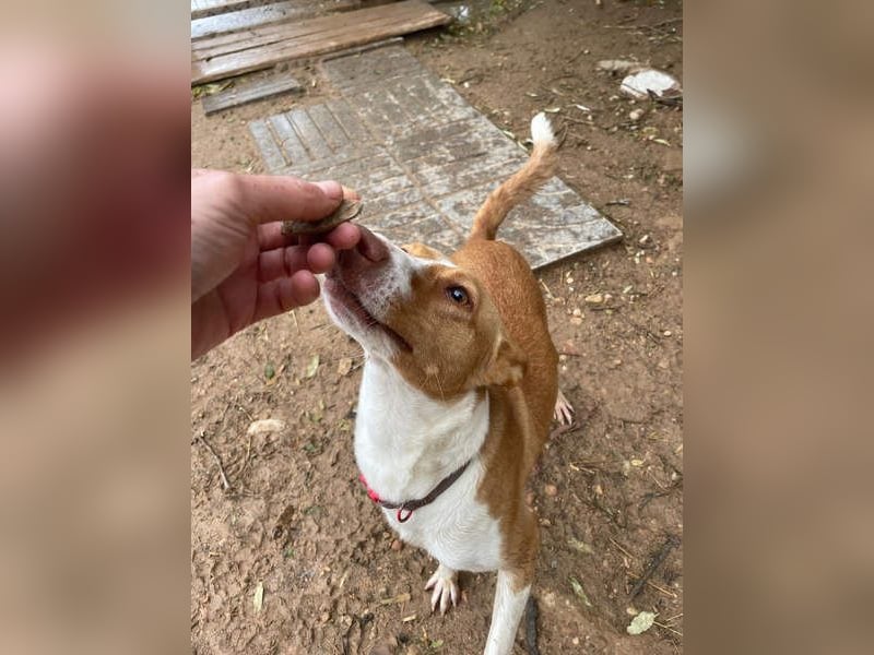 MARTINA-kleine Prinzessin mit sonnigem Herzen sucht ihre Für-immer-Familie