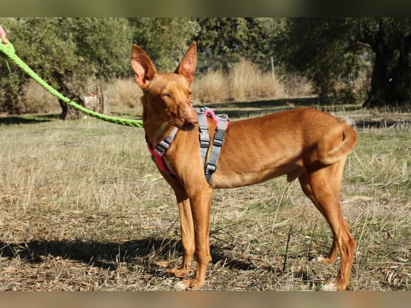 IKER - voller Energie und Lebensfreude