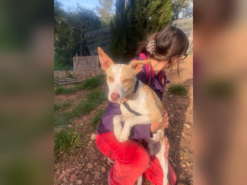 TAPI-wundervoller, junger Bub mit einem großen Herzen sucht seine liebevolle Für-immer-Familie