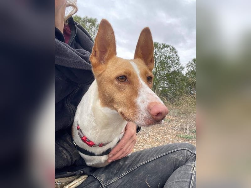 MARTINA-kleine Prinzessin mit sonnigem Herzen sucht ihre Für-immer-Familie