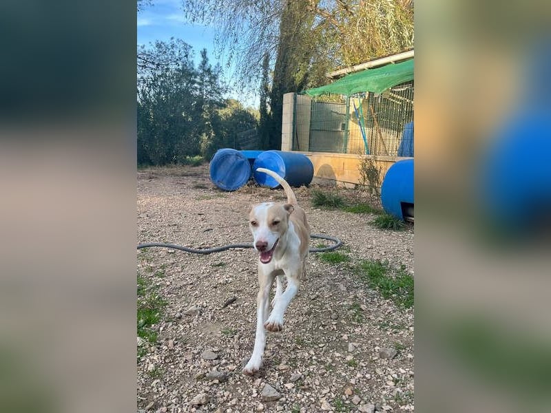 TAPI-wundervoller, junger Bub mit einem großen Herzen sucht seine liebevolle Für-immer-Familie