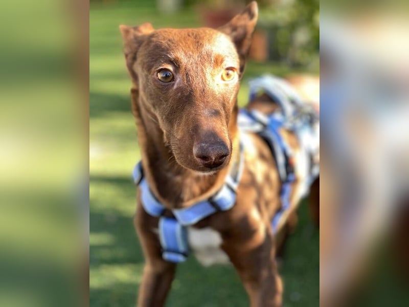 Moana (Spanien) - bedeutet Meer, weites Wasser, Brise über dem Ozean