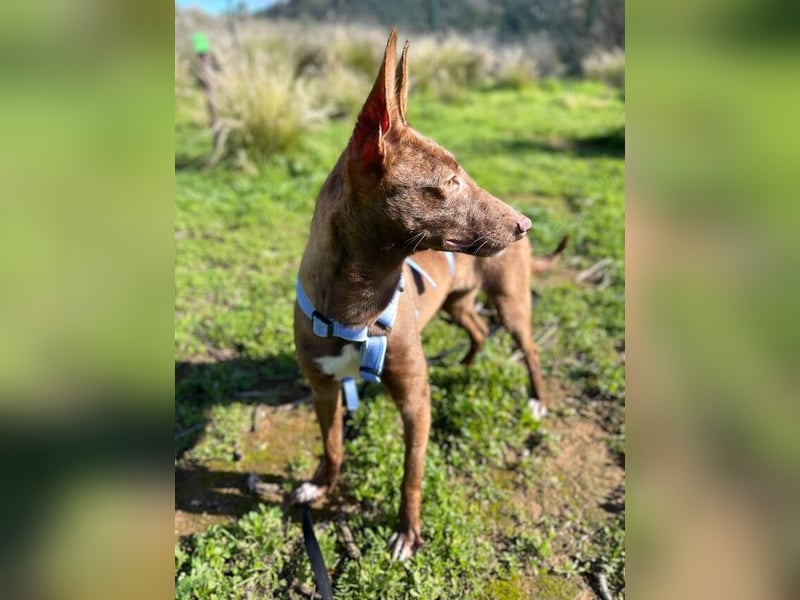 Moana (Spanien) - bedeutet Meer, weites Wasser, Brise über dem Ozean