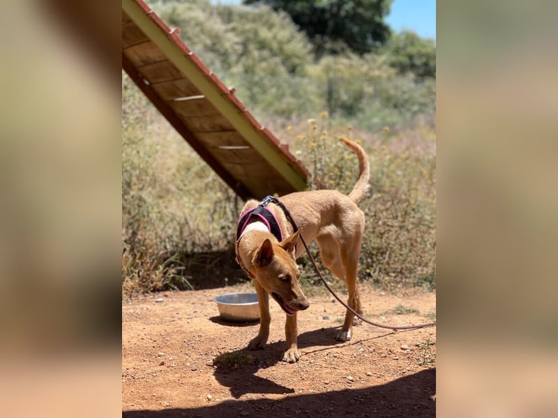 Thelma (Spanien) – eine ausgeglichene Seele sucht ihr Glück